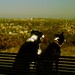 Mary Blackford Photo 24
