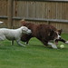 Libby Parsons Photo 20