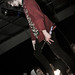 Mark Fowler Photo 54
