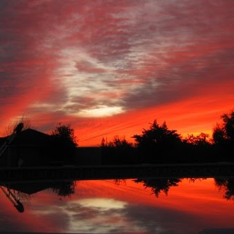 David Logsdon Photo 14