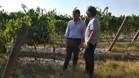Paul Antinori Photo 15