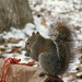 Glenda Gray Photo 34
