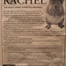 Rachel Strange Photo 25