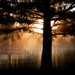 David Kozlowski Photo 39