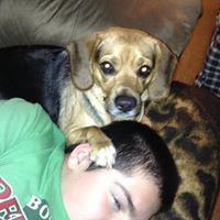 Andrea Morse Photo 6