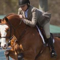 Leslie Jarvis Photo 7