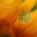 Flora Olson Photo 10