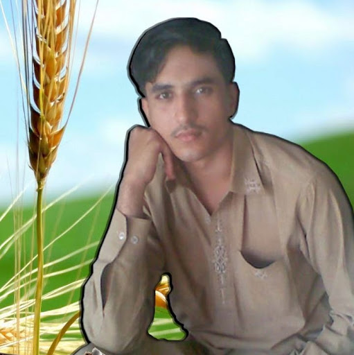 Naveed Ahmed Photo 16