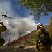 Forrest Erickson Photo 22