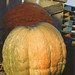 James Pullen Photo 40