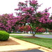 Cary Fuller Photo 28