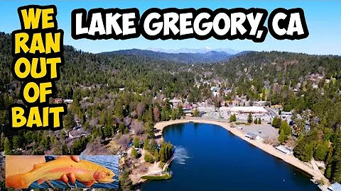 Gregory Trout Photo 11