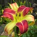 Craig Bloom Photo 42