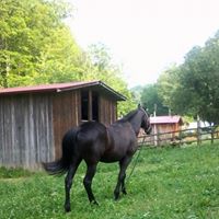 Cindy Tackett Photo 1