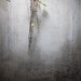 Yuan Liu Photo 49