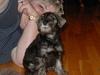 Patti Henderson Photo 27