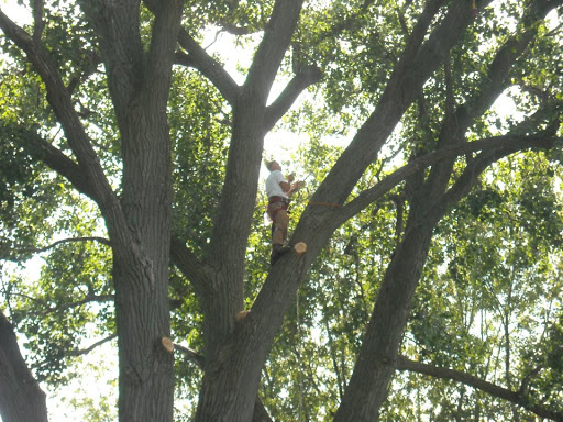 William Elling Photo 2