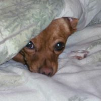 Michele Frazier Photo 5