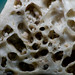 Gary Bone Photo 37