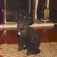 Rose Connolly Photo 2