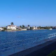 Carl Reisman Photo 5