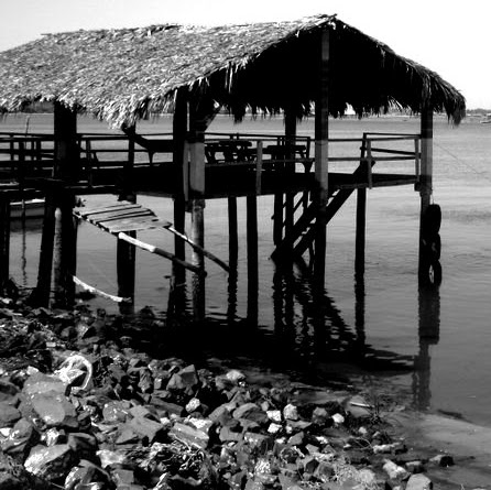 Gilberto Lara Photo 12