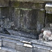 Michael Gately Photo 28