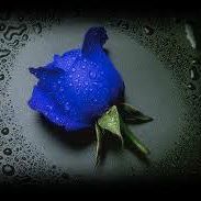 Muhammad Sadiq Photo 9