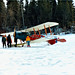 Dawn Pullen Photo 23