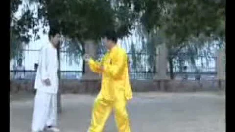 Pan Zhang Photo 23