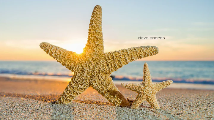 David Andres Photo 37