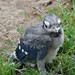Jay Boothe Photo 22