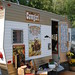 Debra Camp Photo 36
