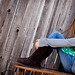 Anna Lint Photo 20