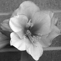 Michael Hawks Photo 7
