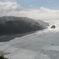 Marc Sussman Photo 7