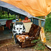 Jason Eades Photo 34