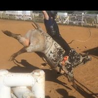 Lance Darnell Photo 6
