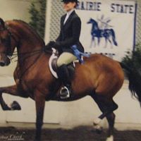 Susan Klotz Photo 1