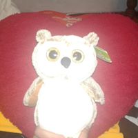 Mary Estevez Photo 7