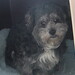 Susie Mills Photo 30