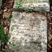 Tabitha Stone Photo 42