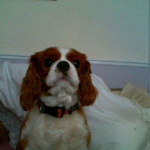 Millie Wright Photo 15