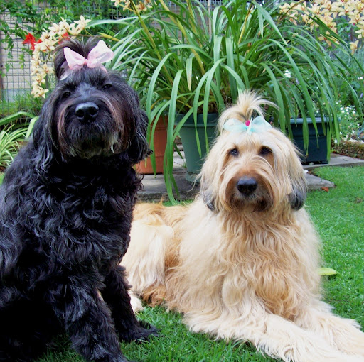 Murphy Bailey Photo 9