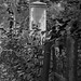Lewis Thomas Photo 51