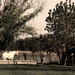 Ronald Quick Photo 18