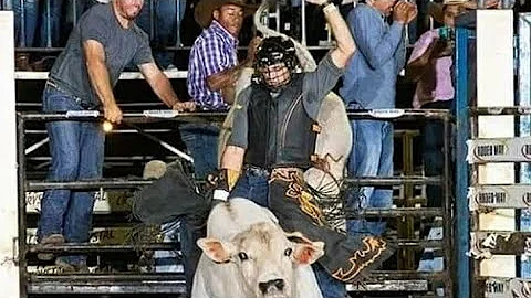 David Vitti Photo 7