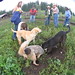 Stacey Moffitt Photo 30