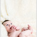 Dorothy Ross Photo 47