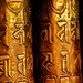 Siddhartha Sharma Photo 28